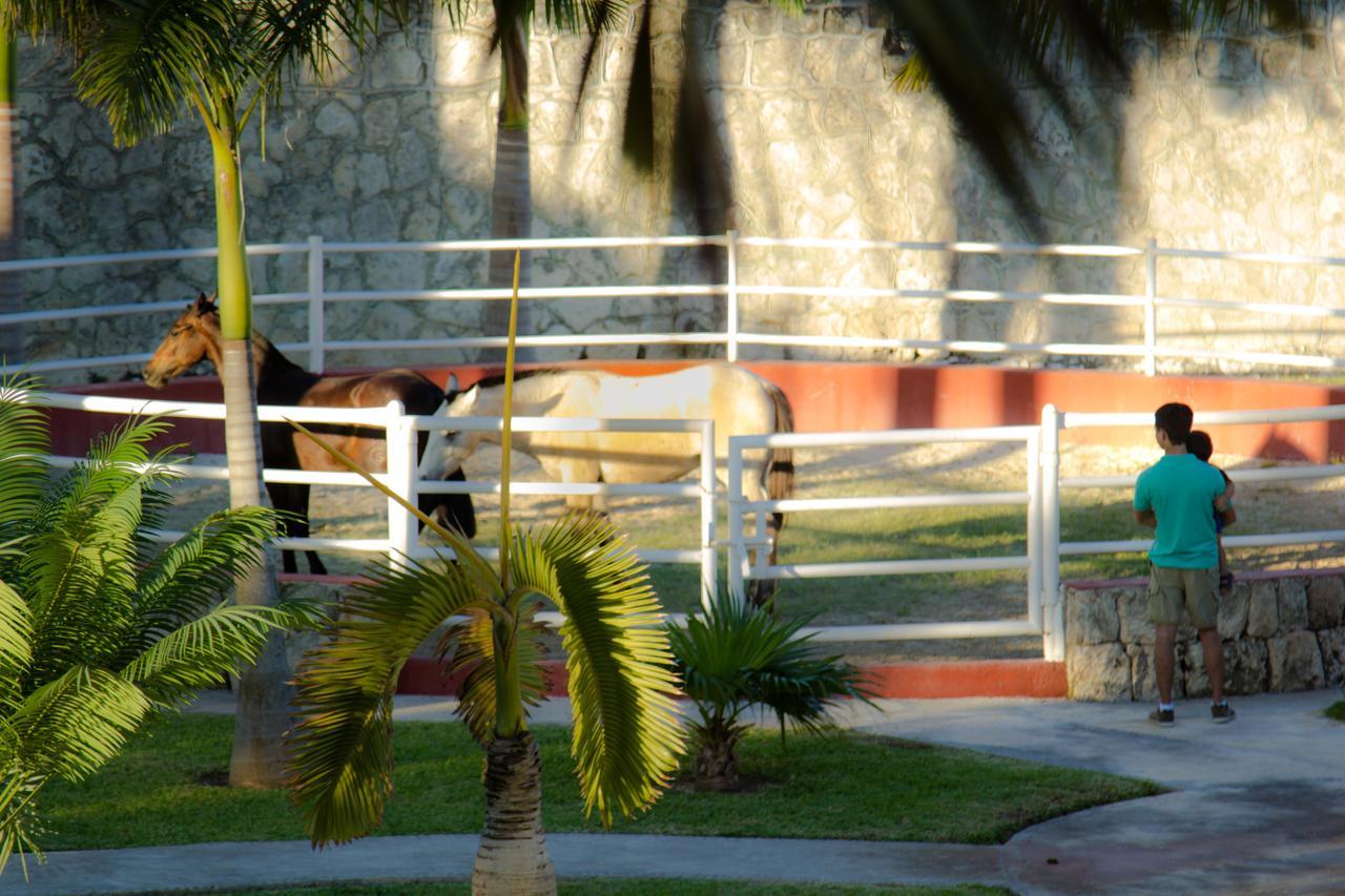 B&B Quinta Juventina Cancún Zewnętrze zdjęcie